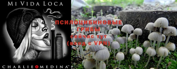 молекула духа Верея