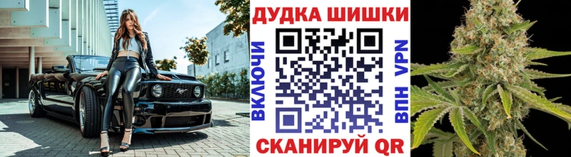 Купить  Дмитров  Шишки марихуана ГИДРОПОН 